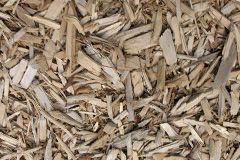 biomass boilers Llanymawddwy