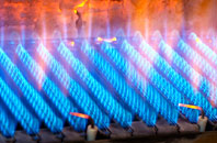 Llanymawddwy gas fired boilers